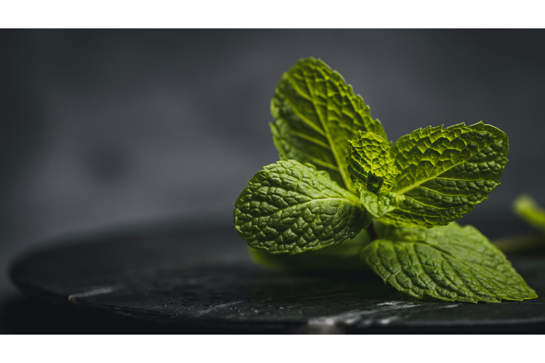 thé vert à la menthe fraîche pour faciliter la digestion